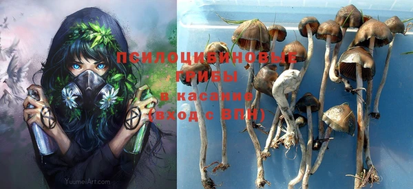 мдпв Кодинск