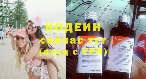 мдпв Кодинск