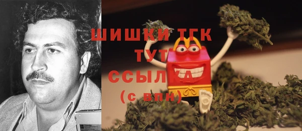 мдпв Кодинск